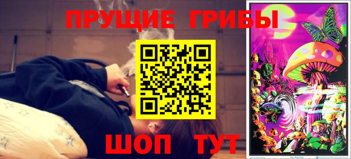 Галлюциногенные грибы Psilocybine cubensis  Псилоцибиновые грибы Magic Shrooms  Прокопьевск  Вход с VPN 