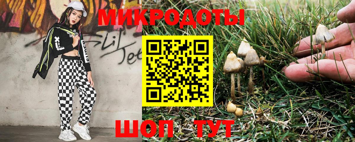 Псилоцибиновые грибы мицелий Прокопьевск